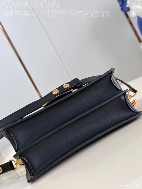 Aaa replica bags DAUPHINE East LOUIS VUITTON West-21*12*5CM 0804